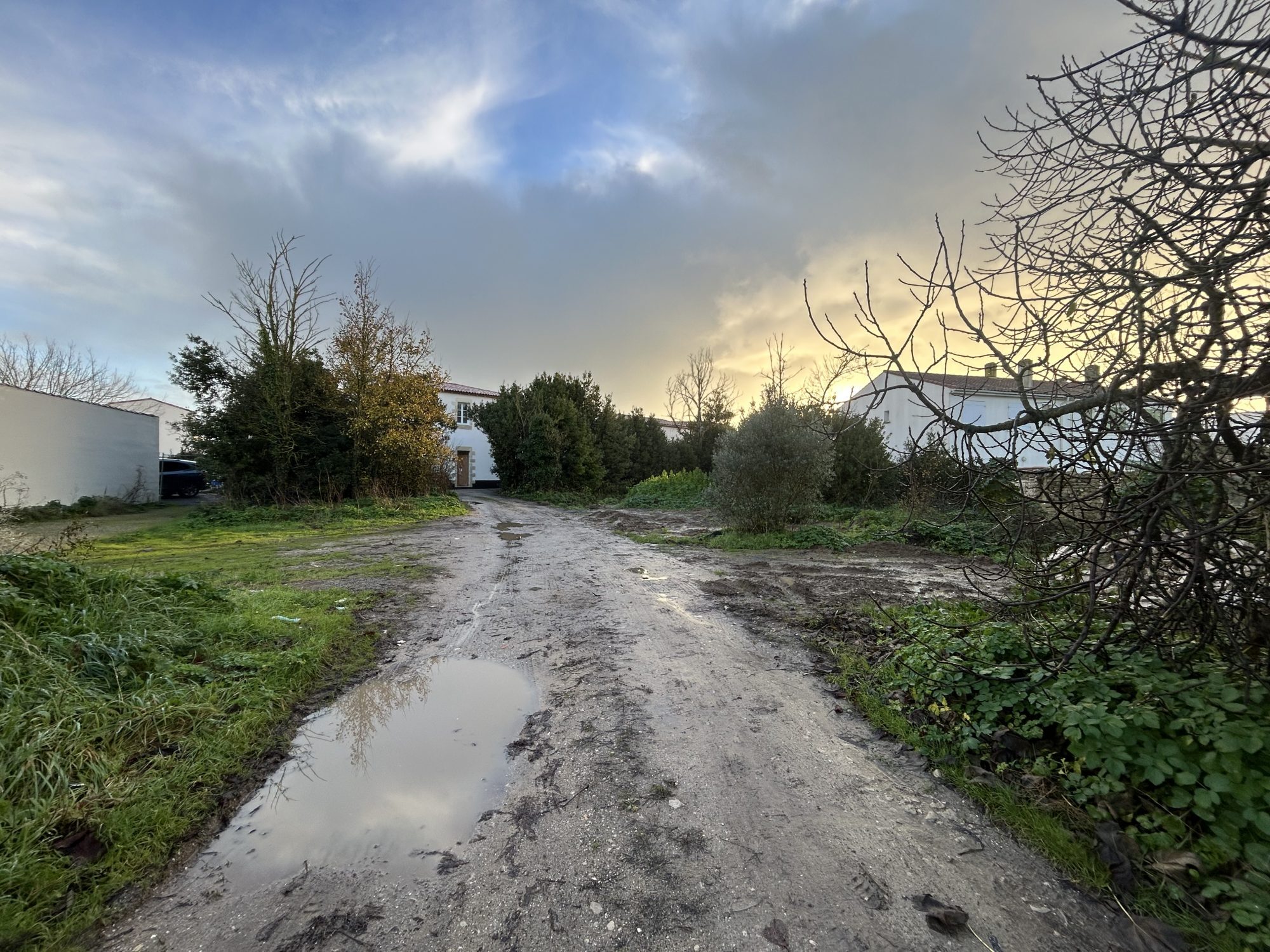Property view 4
